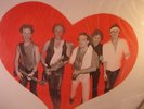 LOVERBOY PICTURE DISC