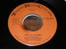 Question Mark & Mysterians 70s POP ROCK 45 Aint it a Sh