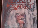 Morbid Saint 
