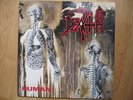 Death , Human