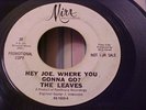 The Leaves - PROMO - GARAGE ROCK - Hey Joe Where You Go