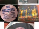 BLUE ORCHIDS-THE GREATEST HIT LP vinyl 1981 ex-FALL UK