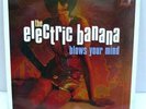 The Electric Banana Blows Your Mind LP - Pretty Things