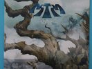 ASTRA THE WEIRDING LP FIRST PRESSING NEW