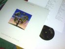 Talk Talk – Laughing Stock LTD re LP + insert   mint