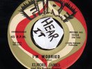 BLUES ROCKERS on FIRE--ELMORE JAMES--