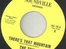 Northern Soul US 45 - THE TRIPS - There's that mountain