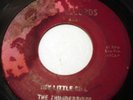 THUNDERBIRDS GARAGE 45 - HEY LITTLE GIRL