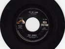 Popcorn Soul 45 Gale Garnett I'll Cry Alone RCA HEAR
