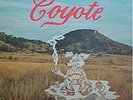   COYOTE S/T RARE TEJANO LP STEREO 1972 BSR