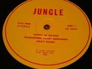 JUNGLE  Private Pressing Demo  Acid Fuzz He