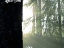 BURZUM - BELUS LP (NEW)