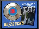 BUZZCOCKS - EVER FALLEN IN LOVE - FRAMED 'SILVER' 45rpm  RECORD