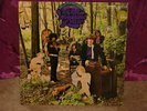 THE LITTLE BOY BLUES IN THE WOODLAND OF WEIR LP NEAR MI