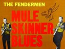 THE FENDERMEN `MULE SKINNER BLUES´ ORIGINAL LP SOMA 124