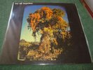WE ALL TOGETHER S/T 72' PERU PSYCH FLOWER POP LP + 7