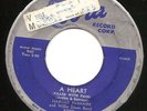 HAROLD BURRAGE & Willie Dixon Band - COBRA 5022 - SHE K