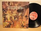 FIVE DAY RAIN s/t UK 1970 PRIVATE PSYCH PROG LP MINT- DEMO ONLY