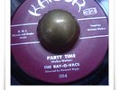 The Ray-O-Vacs Party Time R&B ROCKER SOUL WOW HEAR 45