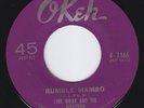 LINK WRAY Rumble Mambo SCORCHING M- tittyshaker LISTEN