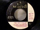 MEL WYNN & THE RHYTHM ACES DON'T WANT TO LOSE YOU 45 VG