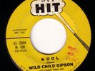 BLACK ROCKER 45 WILD CHILD GIPSON KOOL/LOST CONTROL HIT