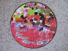 YEAH YEAH YEAHS FEVER TO TELL PICTURE DISC LP