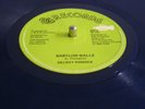 Delroy Pinnock- Babylon Walls- SG RECORDS-12
