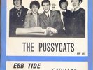 THE PUSSYCATS / EBB TIDE/ NORWAY 45 /1965/ NR MINT COND