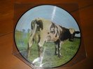 Pink Floyd 12 inch vinyl picture disc  