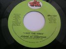 JOSHIE JO ARMSTEAD I Got The Vibes THE GOSPEL TRUTH (STAX) GTA-1207, 1973
