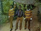 THE MAYTALS 'MONKEY MAN' UK LP TROJAN 1970 LAMINATE FRONT