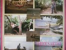 HARDER THAN THE REST Frankie Wilmott, Pinchers MUSIC SCENE   roots dancehall LP