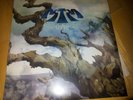Astra The Weirding 2xLP 100ex Clear Vinyl OOP 