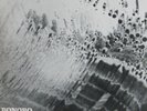 Hans Reichel - Bonobo Beach - FMP0830