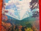 SEALED - TAME IMPALA INNERSPEAKER VINYL 2 LP 45 RPM ORIGINAL MODULAR DUNGEN NM
