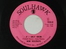 NEW HOLIDAYS northern soul 45 IF I ONLY KNEW/MAYBE SO MAYBE NO SOULHAWK VG