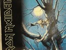 IRON MAIDEN - FEAR OF THE DARK - 2 LPs