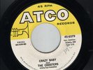THE COASTERS - CRAZY BABY