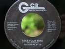 RECORD PLAYER  FREE YOUR MIND  RARE, RARE OHIO SOUL 45 ON GCR LABEL *HEAR*