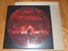 Pearl Jam 2010 Holiday Christmas Fan Club Single Vinyl 2011 Fanclub Record 