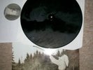 Varg Vikernes Filosofem original