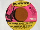 1966 Chicago Garage--The Shadows of Knight--I'm Gonna Make You Mine--Dunwich
