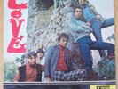 LOVE-FIRST ALBUM-RARE ORIGINAL ITALIAN 1st PRESSING LP 1967-GARAGE/PSYCH-VEDETTE