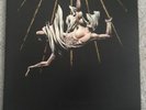 Deathspell Omega - Fas LP Burzum Mayhem Katharsis Marduk Moonblood Blut aus Nord