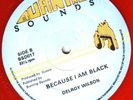 DELROY WILSON/BURNING SOUNDS 12
