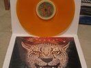 the GREENHORNES **** ORANGE vinyl 12