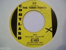 Rare Surf Garage Rock Terri Tones Cortland Go The Sinner 105 1962 strong VG+