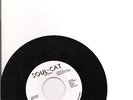 CAL TURBIN-let them talk/ barbecue-7