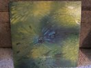 COLOURS Private Press Century 36550 FOLK PSYCH VG+ LP